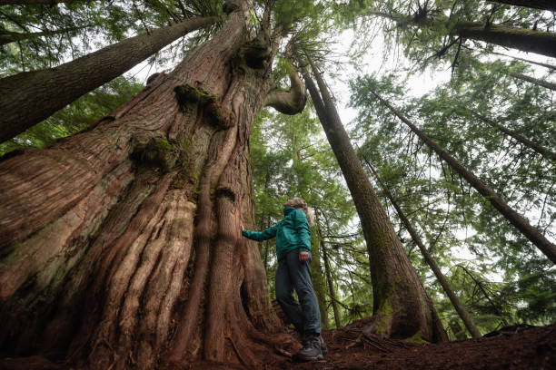istock Girl in Nature 1082568074