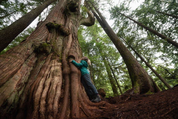 istock Girl in Nature 1082568078