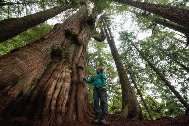 istock Girl in Nature 1082568116