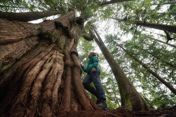istock Girl in Nature 1082568178