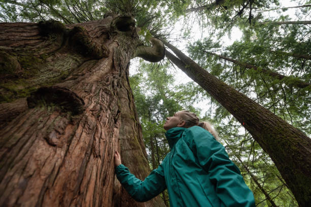 istock Girl in Nature 1082568186