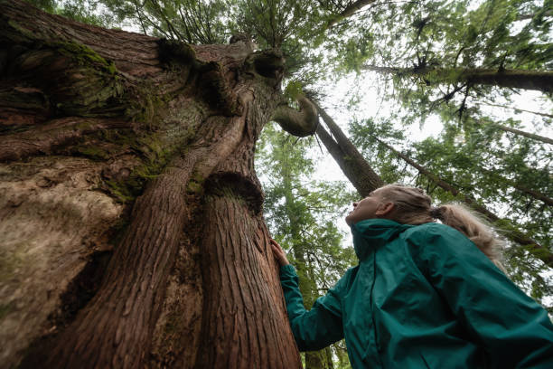 istock Girl in Nature 1082568192