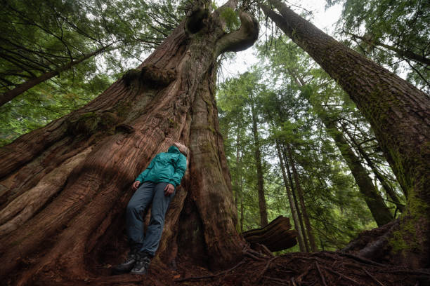 istock Girl in Nature 1082568196