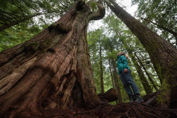 istock Girl in Nature 1082568210