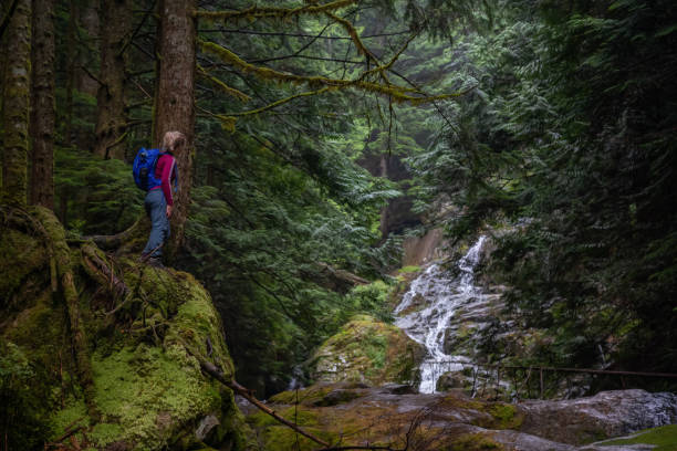 istock Girl in Nature 1082568572