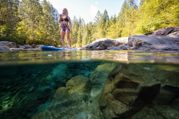 Over and Under of girl paddle boarding Over and Under Picture of a young Caucasian girl paddle boarding in a river during a sunny summer day. Taken in Alouette Lake, near Vancouver, BC, Canada. alouette lake stock pictures, royalty-free photos & images