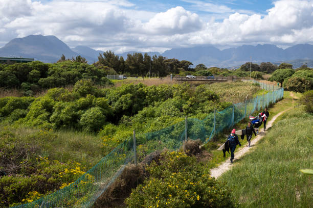 istock South African Surf Culture 1082577134