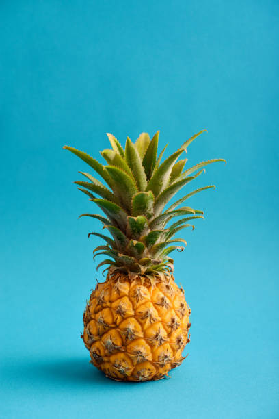istock Fresh ripe whole pineapple fruite 1082578054