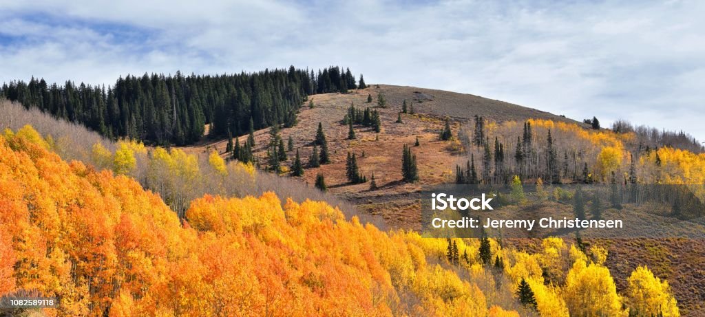 Guardsman Pass views of Panoramic Landscape of the Pass from the Brighton side by Midway and Heber Valley along the Wasatch Front Rocky Mountains, Fall Leaf Forests bright orange and yellow colors. Utah, United States. Utah Stock Photo