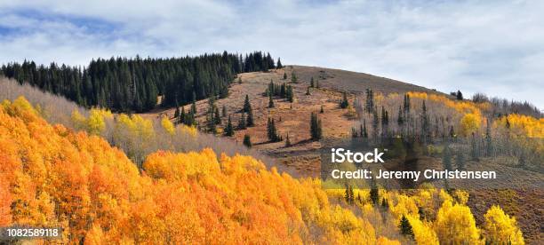 Guardsman Pass Views Of Panoramic Landscape Of The Pass From The Brighton Side By Midway And Heber Valley Along The Wasatch Front Rocky Mountains Fall Leaf Forests Bright Orange And Yellow Colors Utah United States Stock Photo - Download Image Now