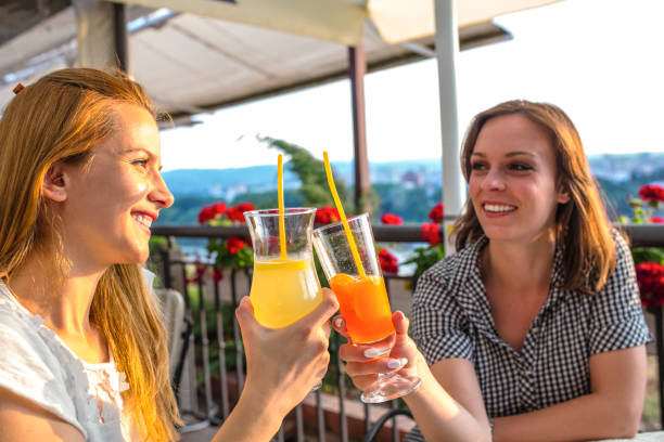 istock Best friends enjoy in juice at sunset 1082592474