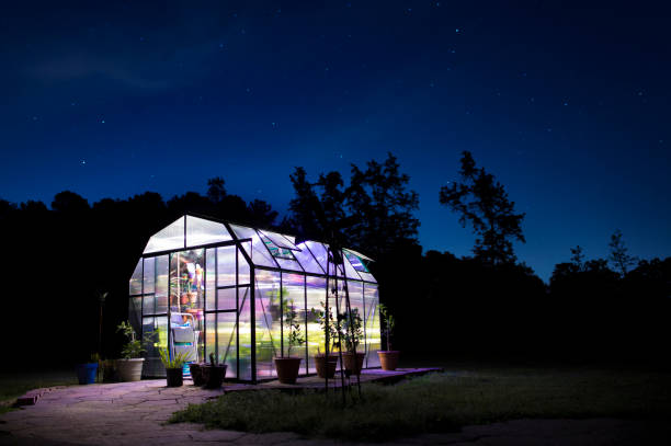 istock Stars behind a greenhouse lit at night 1082600296