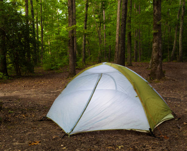 istock Tent on Uwharrie National Forest in North Carolina 1082600540
