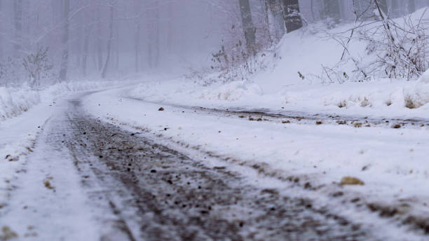 istock christmas winter landscape spruce and pine trees covered in snow 1082606840