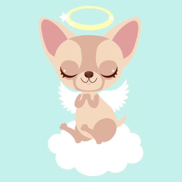 istock Cute chihuahua angel on the cloud. Funny sticker for a gift. Character for birthday or valentine's day. 1082609488