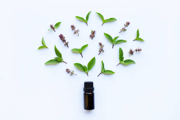 istock Sweet basil essential oil in a glass bottle on white background. 1082609732