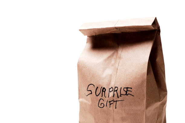 istock Paper Bag with text -SURPRISE GIFT 1082614736