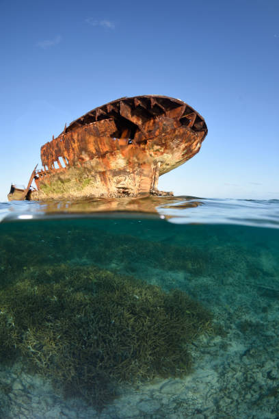 istock HMCS Protector wreck, Heron Island, Great Barrier Reef, Australia 1082615648