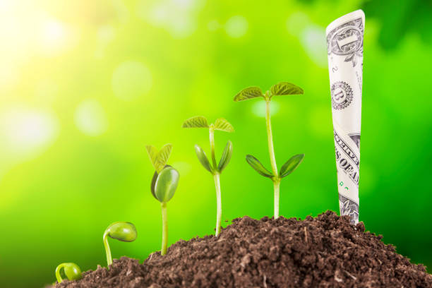 istock Investment Concept :Growing Plant On Coins Money 1082648910