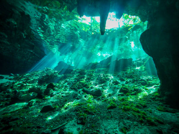 istock Cenote diving in Cancun, Mexico 1082670562