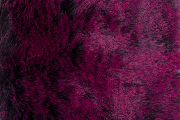 istock black and purple fur texture. 1082673740