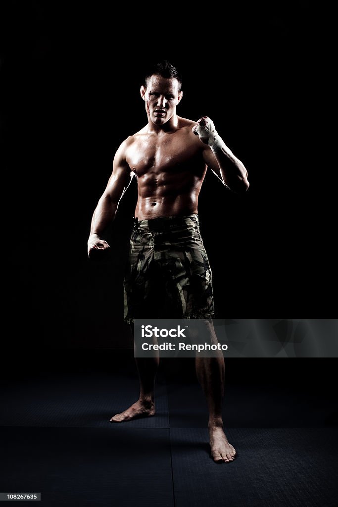 박서 (Boxer) - 로열티 프리 권투-스포츠 스톡 사진