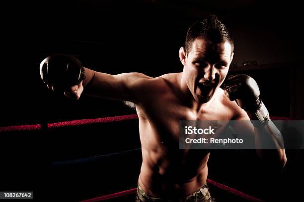 Boxer Faust In Richtung Der Kamera Stockfoto und mehr Bilder von Aggression - Aggression, Bauchmuskeln, Bewegung