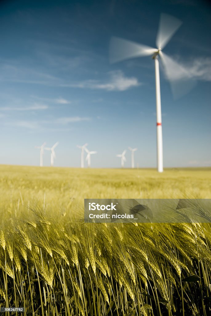 Turbina eólica em campo - Foto de stock de Agricultura royalty-free