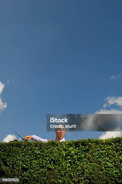 Nosey Parker - Fotografie stock e altre immagini di Vicino di casa - Vicino di casa, Ficcanaso, Siepe