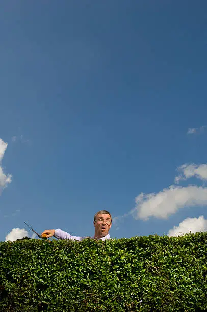 nosey neighbour takes time out from gardening to peep over the hedge 