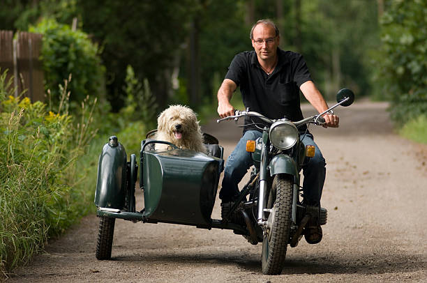 Man and his dog on motorcycle stock photo