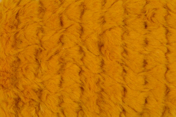 istock close up of fur swatch texture. 1082679794