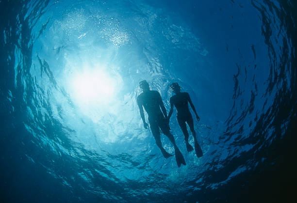 buceo con esnórquel - snorkel fotografías e imágenes de stock