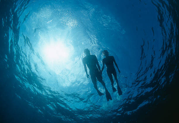 lo snorkeling - scuba diving foto e immagini stock