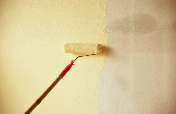 istock painted wall background / hand painting wall with paint roller on building construction 1082683502