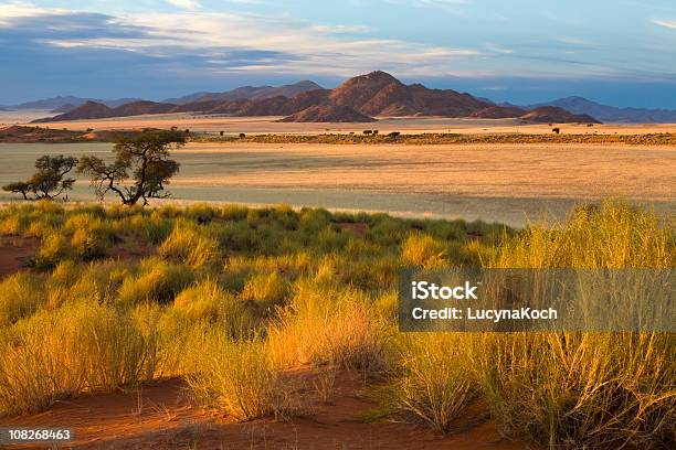 Afrikanische Savanne Bei Sonnenuntergang Stockfoto und mehr Bilder von Savanne - Savanne, Afrika, Steppe