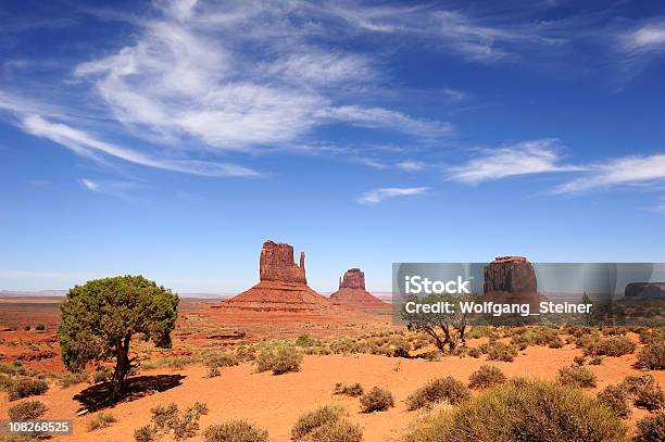 Foto de Monument Valley e mais fotos de stock de Abandonado - Abandonado, Arbusto, Areia