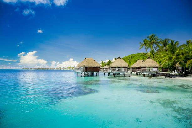 istock Vacation Huts on Ocean in French Polynesia 108268783
