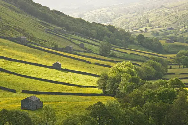 Photo of Dawn in Swaledale