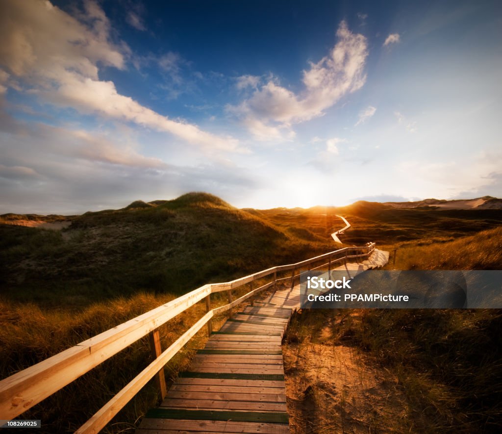 Camino a través de las dunas con un gran cielo - Foto de stock de Aire libre libre de derechos