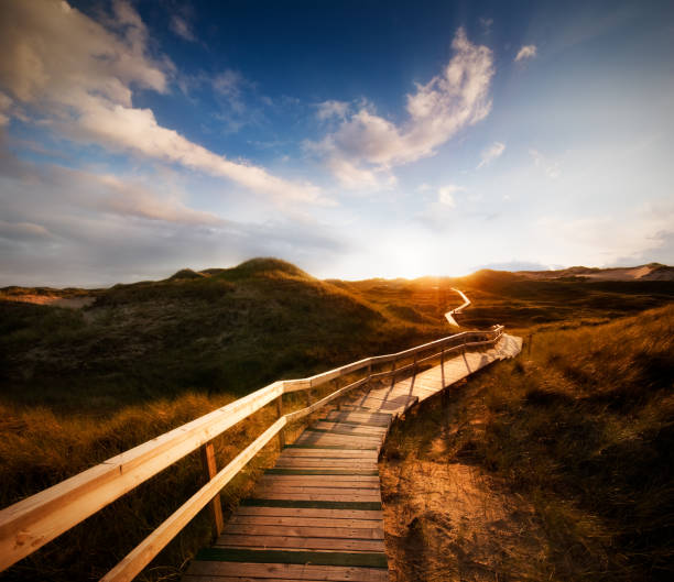 istock Way through the dunes with a huge sky 108269025