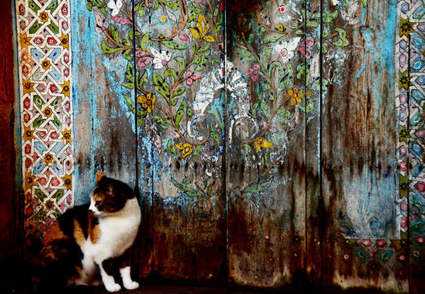 Cat sitting at the entrance to a decorated door in the Kasbah in Rabat, Morocco