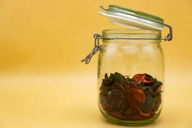 dried red and green  flowers on yellow background