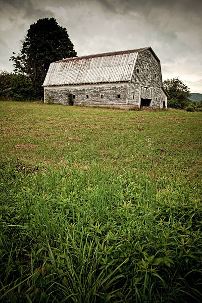 abandoned barnyard in boone - north carolina, usa
