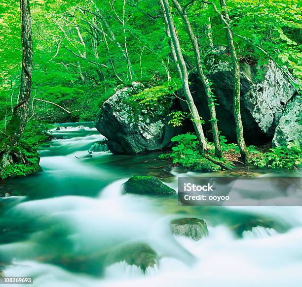 Ruscello Di Montagna - Fotografie stock e altre immagini di Acqua fluente - Acqua fluente, Albero, Ambientazione esterna