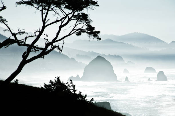 The sea stack rocks in silhouette in thick fog on a beach along the Oregon coast.