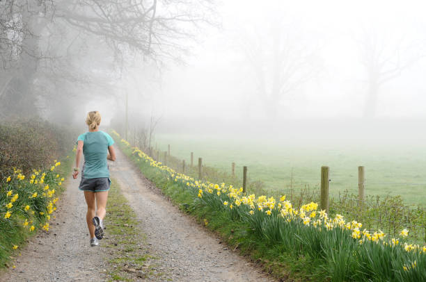Foggy Road Runner stock photo