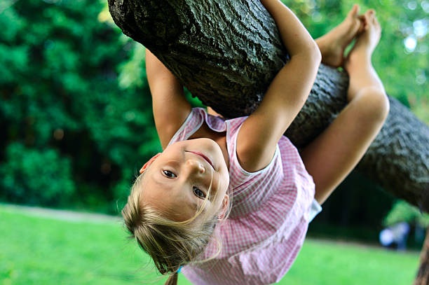 istock Little girl hanging on a tree branch 108270762
