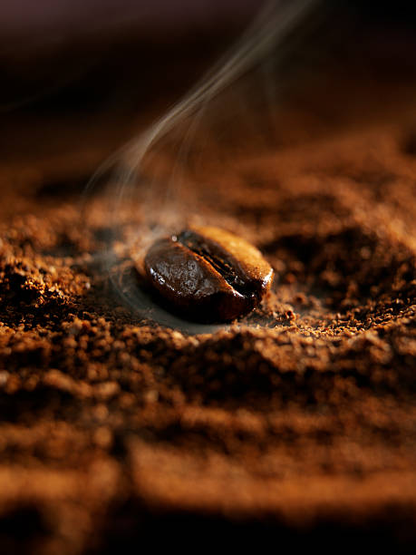 grano de café - caffeine selective focus indoors studio shot fotografías e imágenes de stock