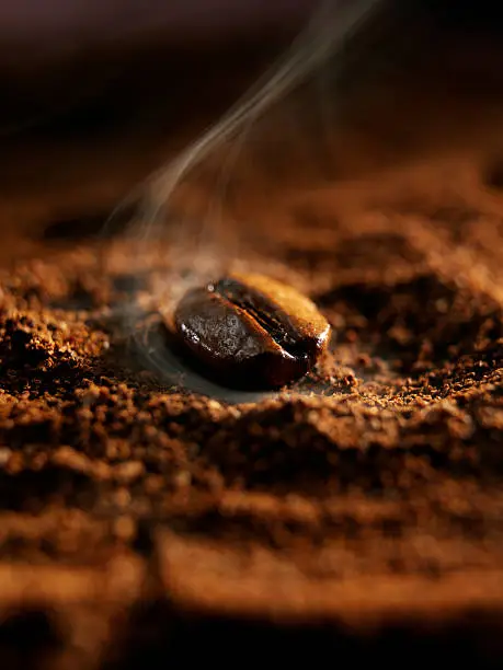 Photo of Coffee bean